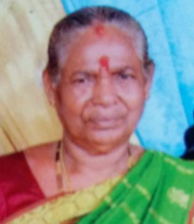 ರಾಧು ಪಾಲನ್